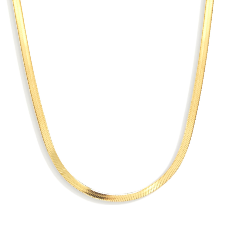 Golden Chain Necklace