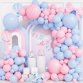 Pastel Balloon Party Set