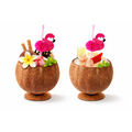 Coconut Dessert Bowl Set