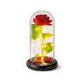 Enchanted Rose Light Dome
