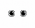 Midnight Halo Stud Earrings - Women's Earrings | Asena Boutique Qatar