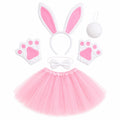 Kids Pink Bunny Costume Set - Party Costume | Asena Boutique Qatar