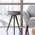 SANAMESA - Side Table (Black Walnut)