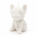 Pawfect Pug Scented Candle 6cm (White)