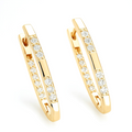 Sparkle Hoops Earrings